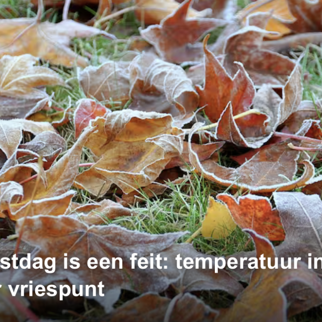 Scherm­afbeelding 2025-11-17 om 07.46.27